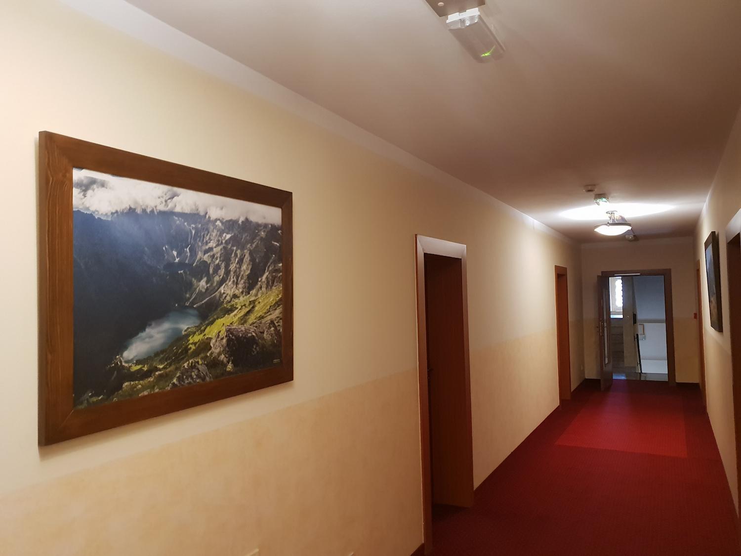 Osrodek Ski Suche & Zakopane ポロニン エクステリア 写真